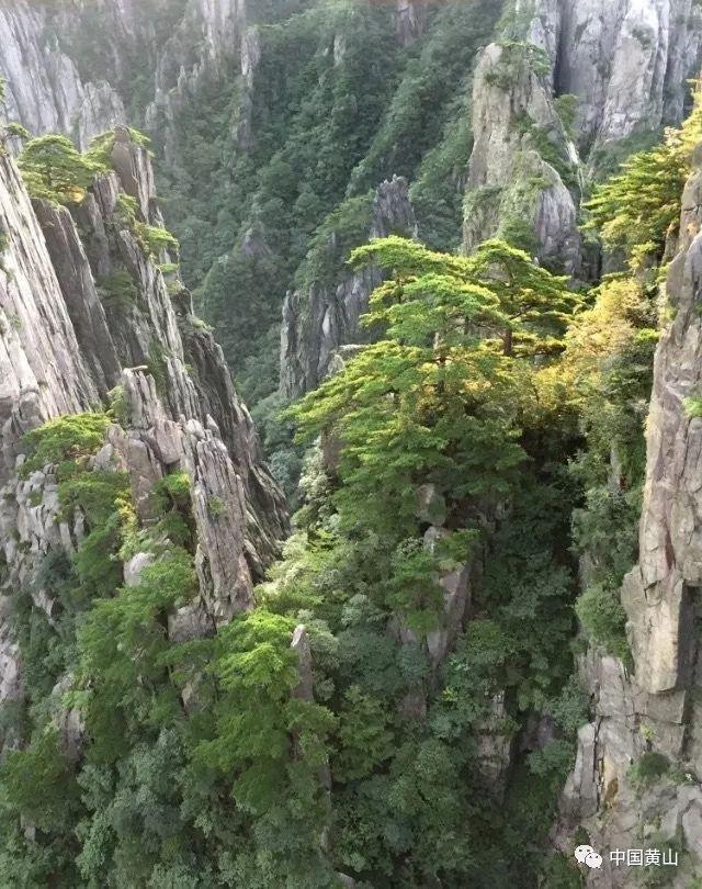 卡姆登市场