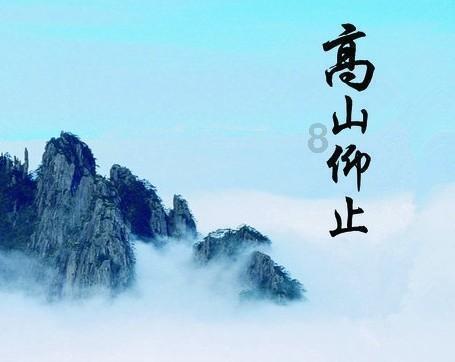 动物狂欢夜