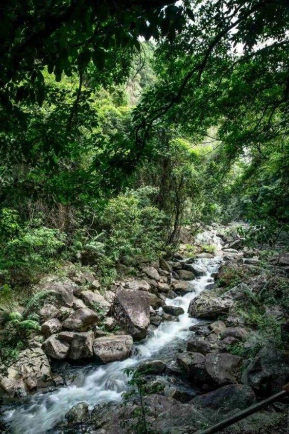 球迷还要忍受多少“煎熬”