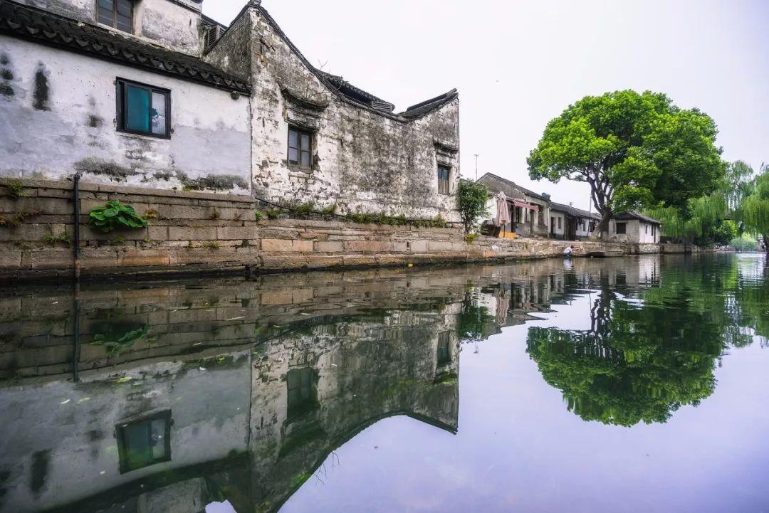 魏晋南北朝士族为何这么牛，连皇帝都屈从他们